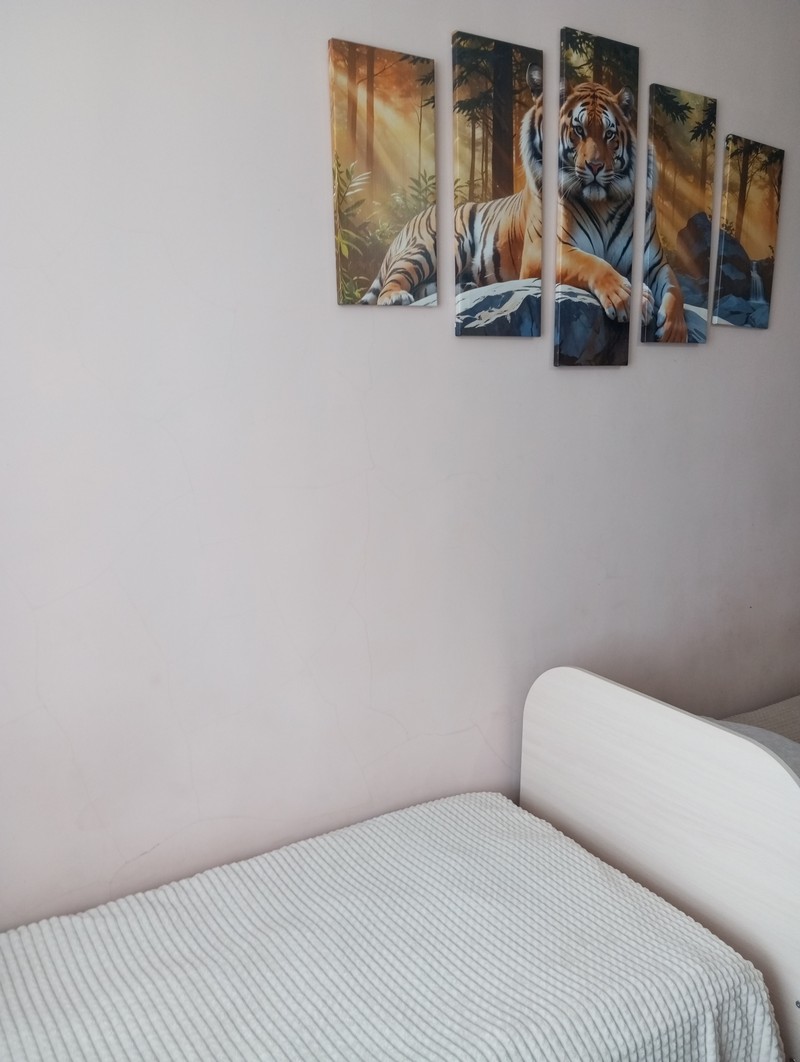 Фото комнаты